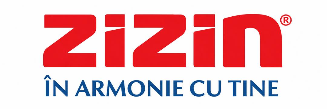 Zizin