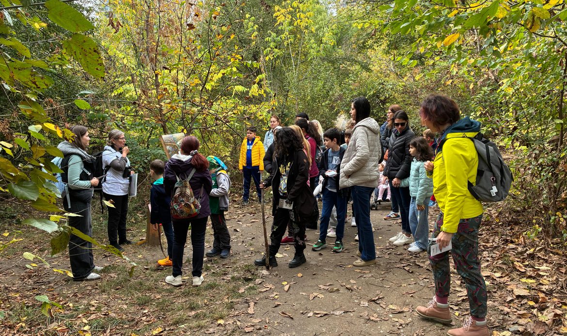 Tur ghidat de biologi în Parcul Natural Văcărești