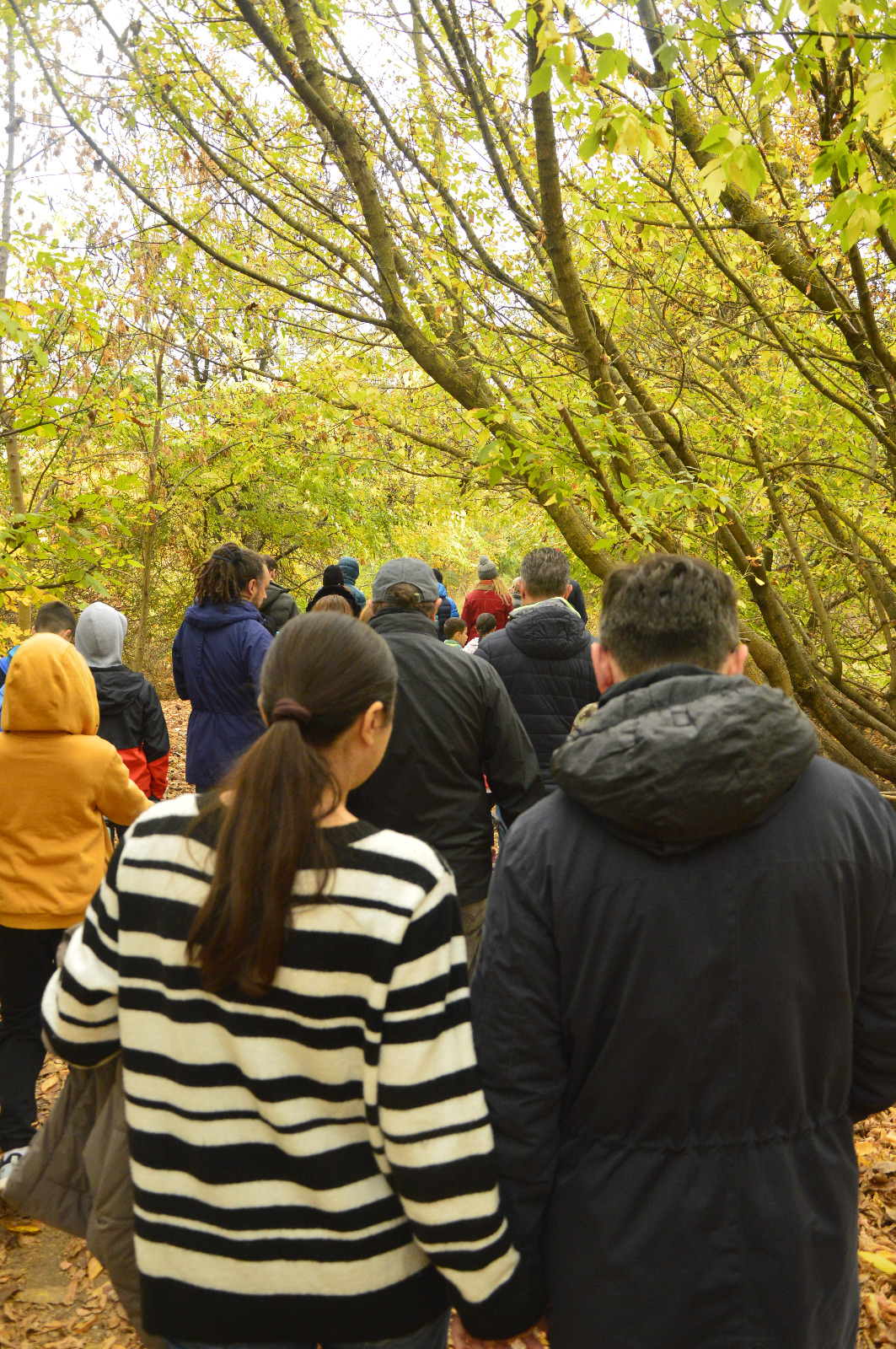 Familii pe traseul NATURE TOGETHER din Parcul Natural Văcărești
