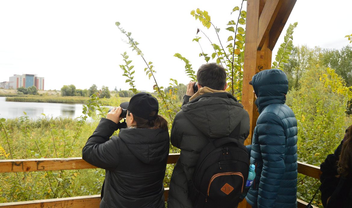 Tur ghidat de biologi în Parcul Natural Văcărești